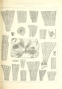 n412_w1150