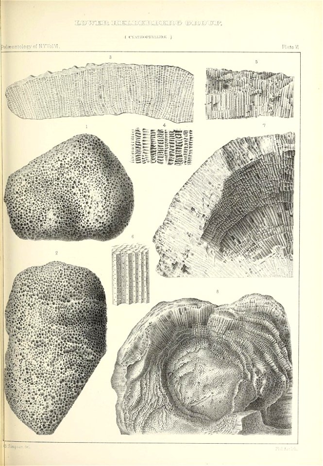n352_w1150