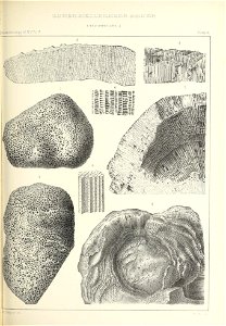 n352_w1150