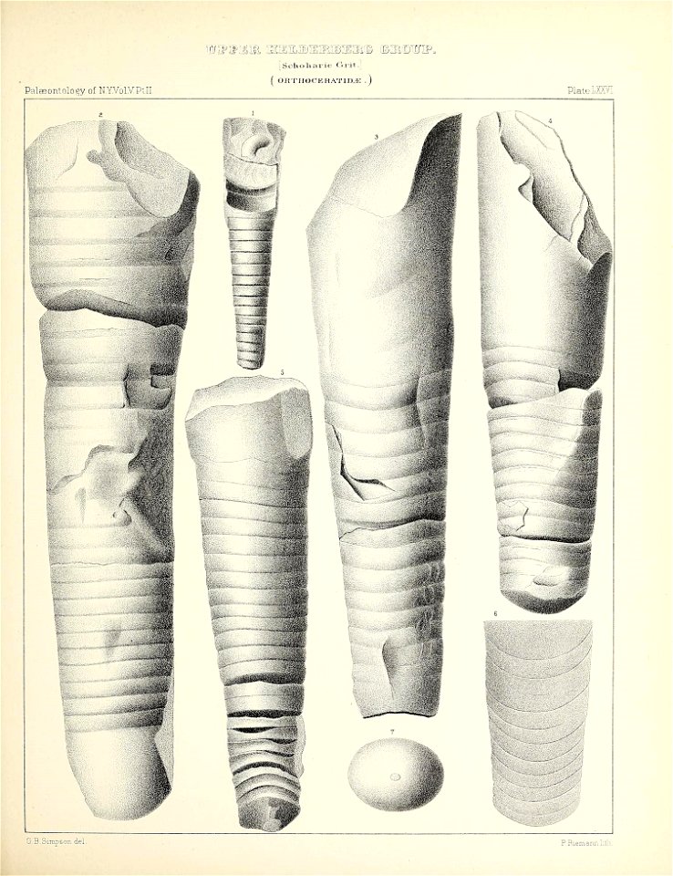 n356_w1150
