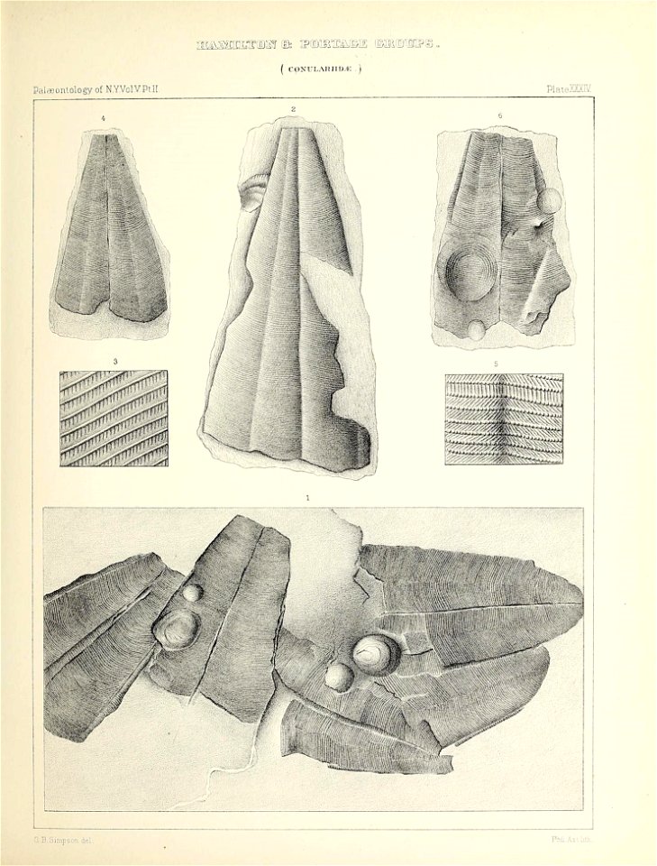 n154_w1150