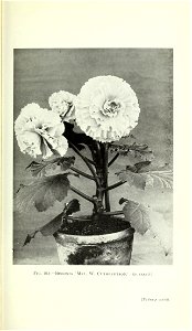 n884_w1150