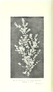 n797_w1150
