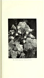 n174_w1150