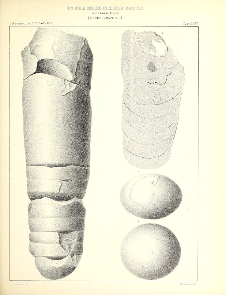 n352_w1150
