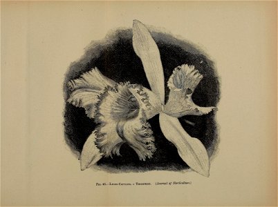 n518_w1150