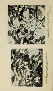 n371_w1150