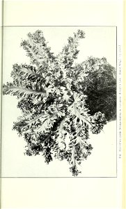 n978_w1150