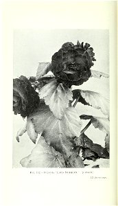 n879_w1150