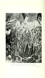 n325_w1150