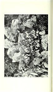 n173_w1150