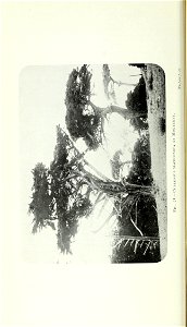 n61_w1150