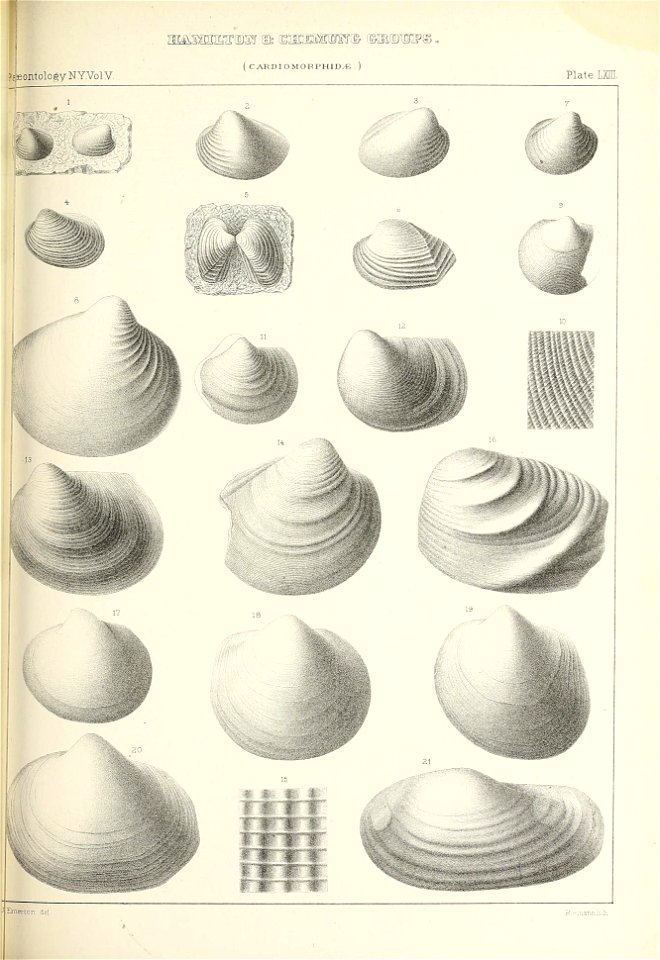 n486_w1150
