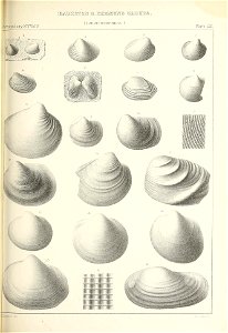 n486_w1150