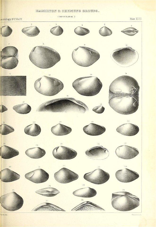 n426_w1150