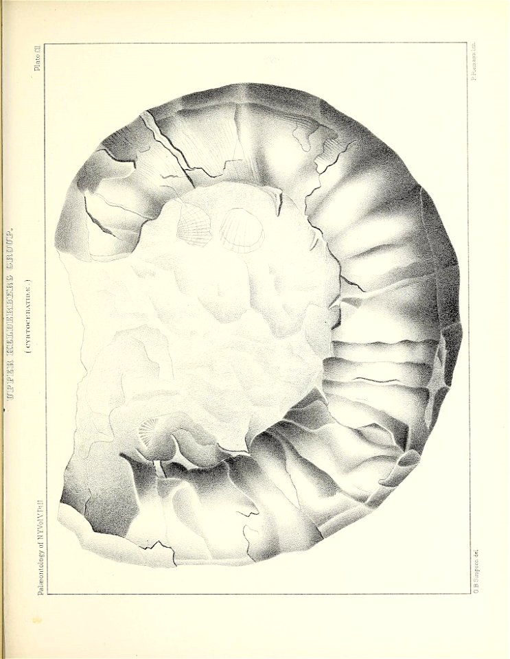 n472_w1150