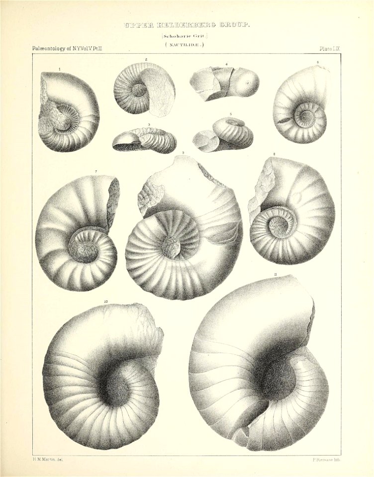 n278_w1150