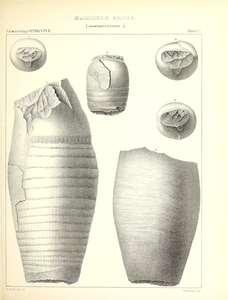 n218_w1150