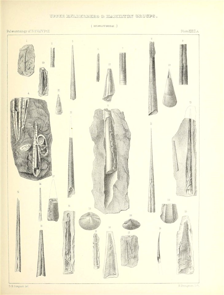 n146_w1150