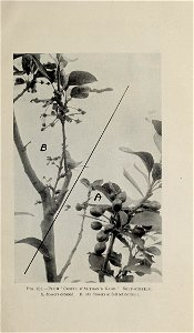 n370_w1150