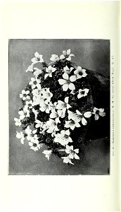 n795_w1150