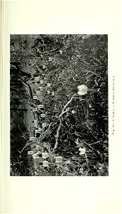 n324_w1150