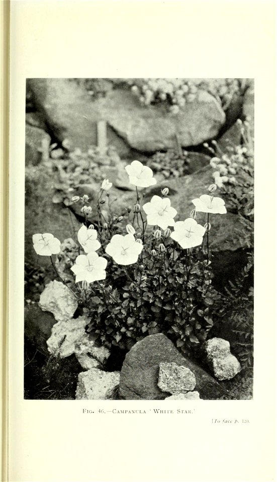 n172_w1150