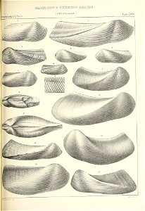 n542_w1150