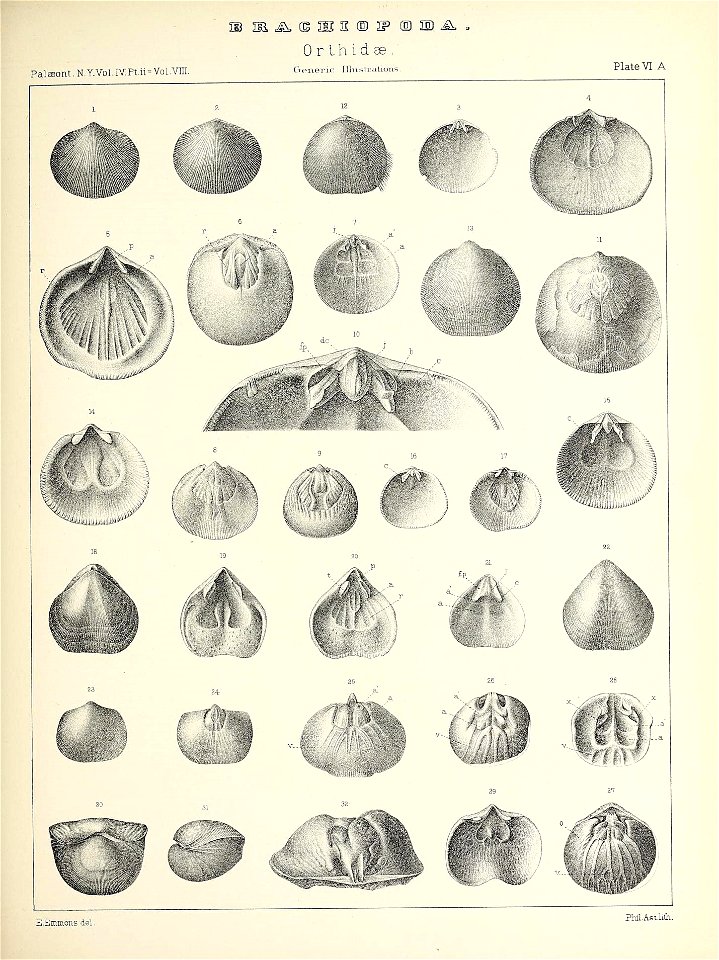 n484_w1150