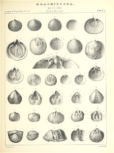 n484_w1150