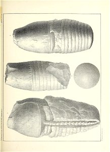 n580_w1150