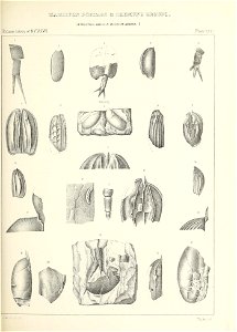n518_w1150
