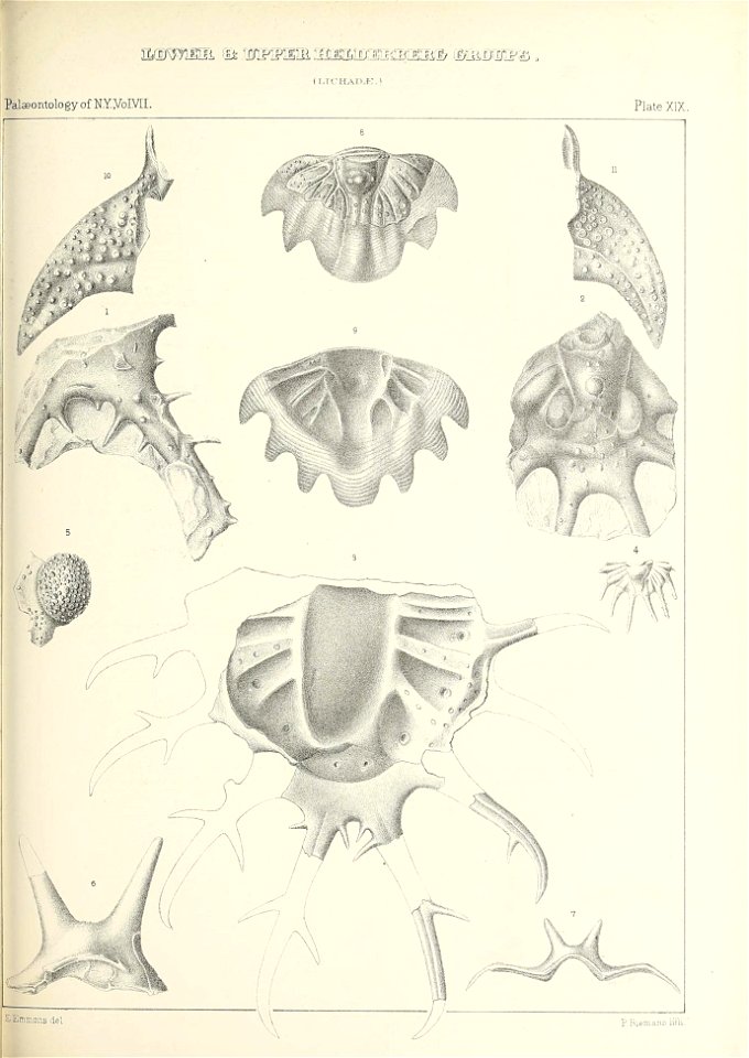 n456_w1150