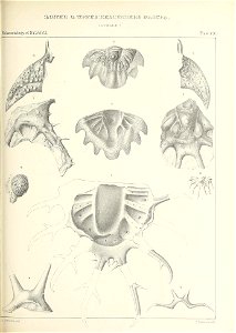 n456_w1150