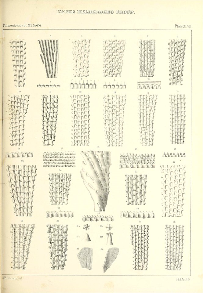 n520_w1150