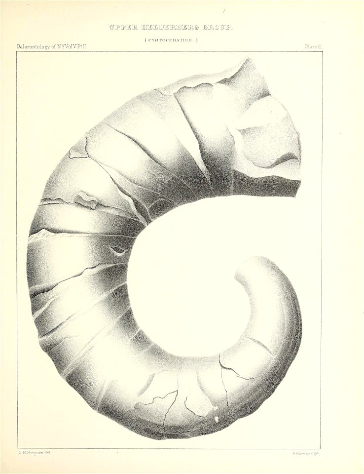 n468_w1150