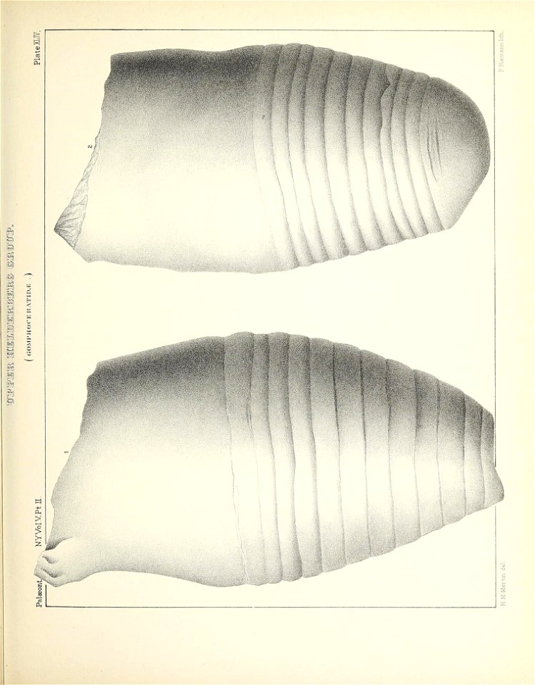 n214_w1150