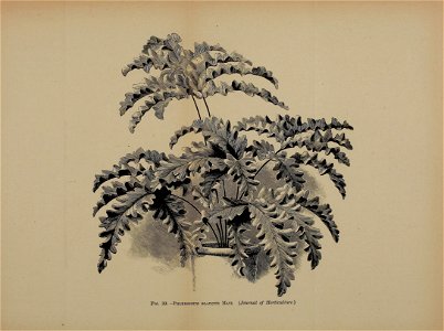n502_w1150
