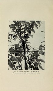 n369_w1150