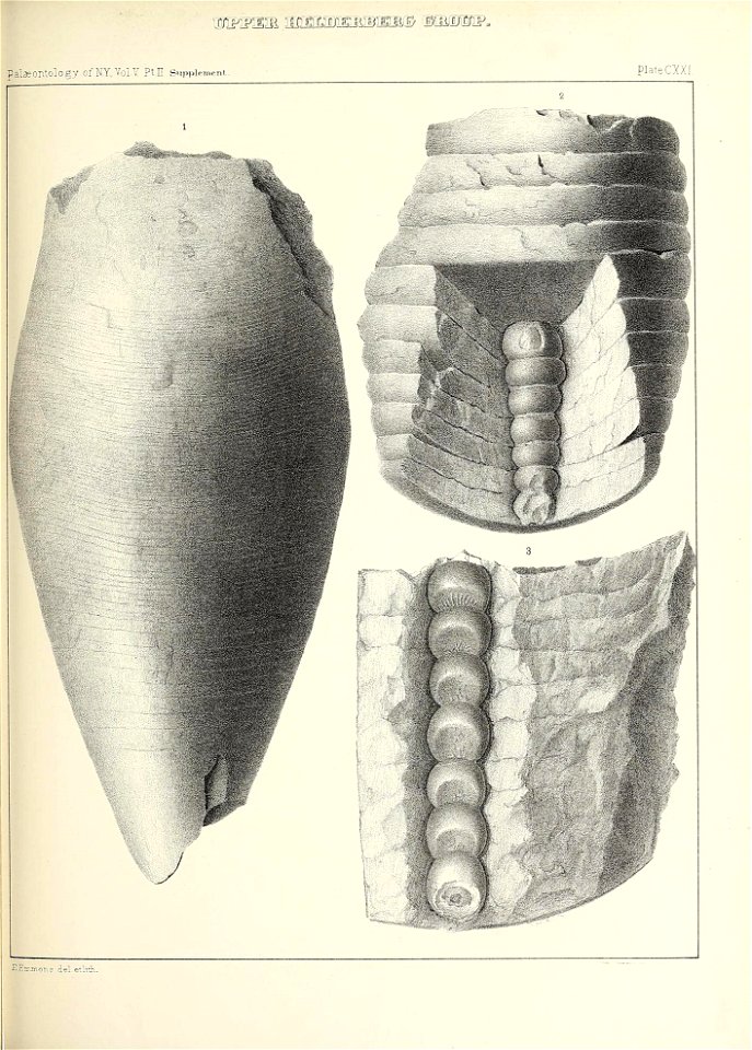 n576_w1150