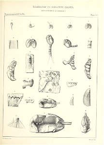 n514_w1150