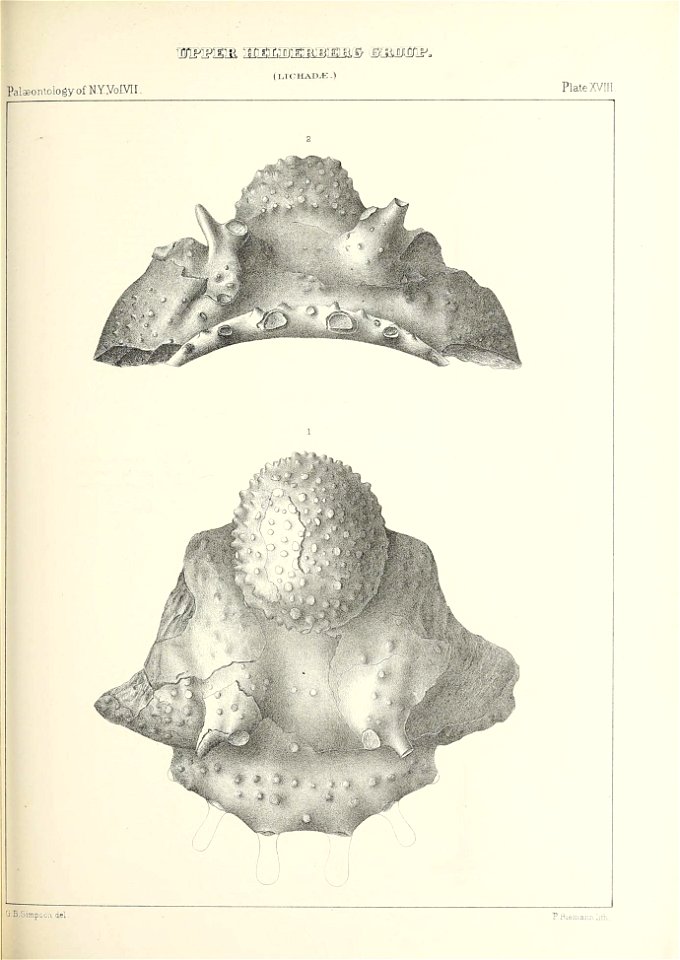 n452_w1150