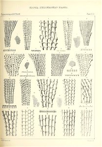 n516_w1150