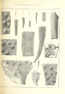 n396_w1150