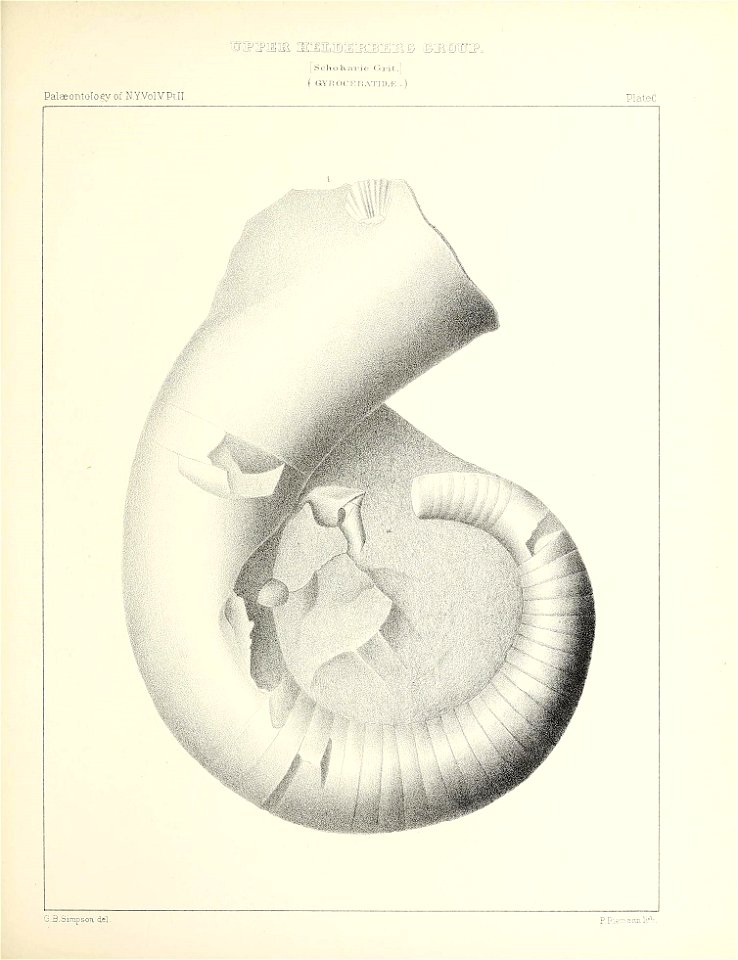 n464_w1150