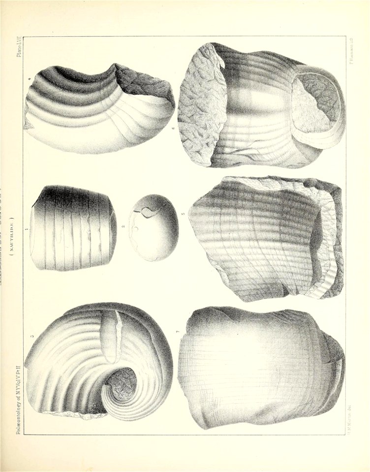 n270_w1150