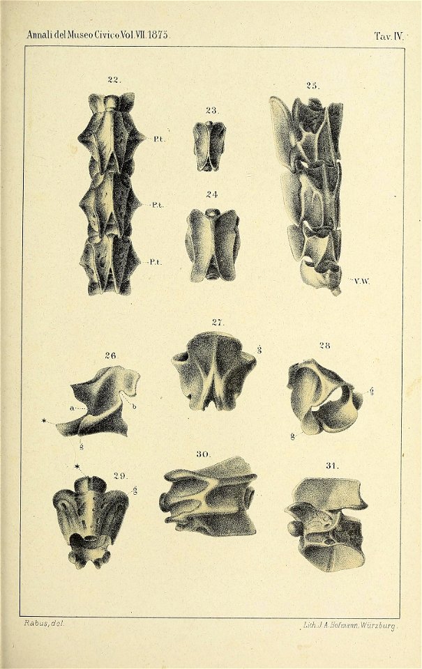 n222_w1150