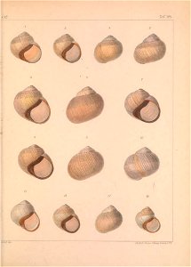 n368_w1150