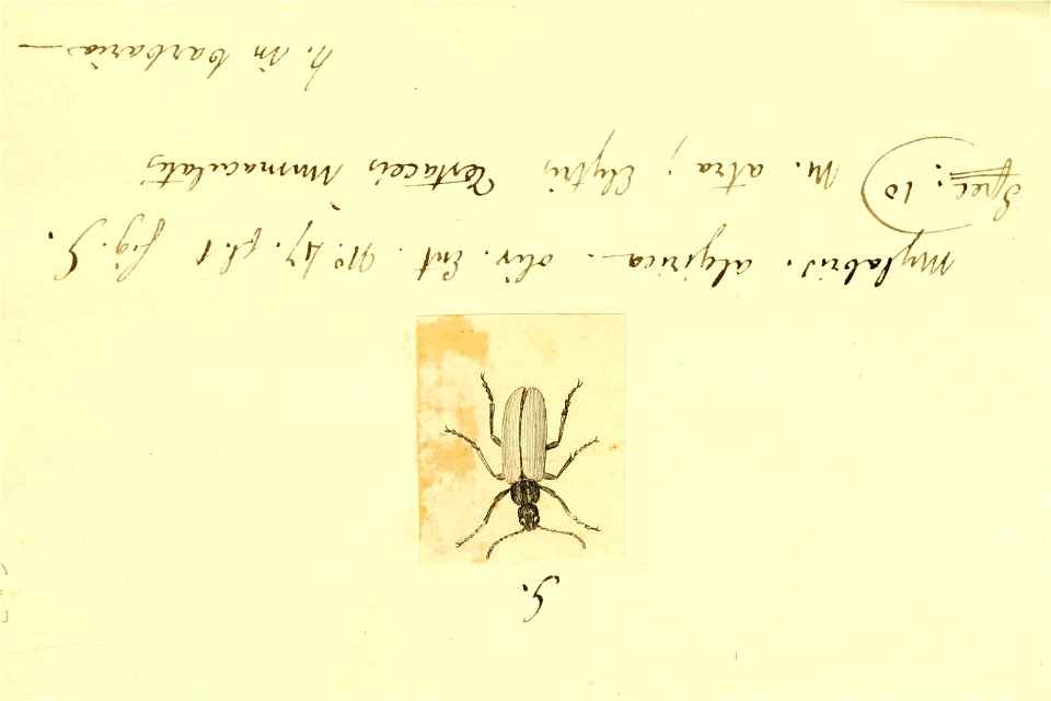 n114_w1150