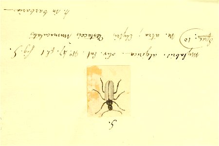 n114_w1150